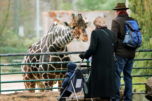 Auch Zoobesuche sind fr Genesene mglich.  | Foto: Roland Weihrauch