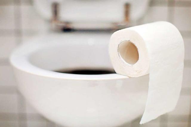 Unbekannte toben sich im Fasnettrubel in Neustdter Toilette aus