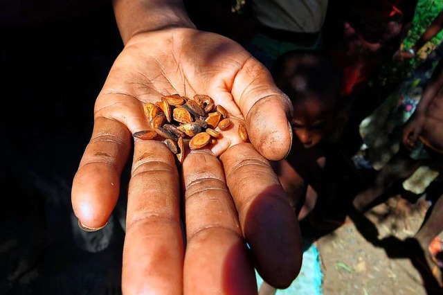 Wenig bis gar nichts zu essen, haben weltweit viele Millionen Menschen.   | Foto: Fenoarisoa Ralaiharinony (dpa)