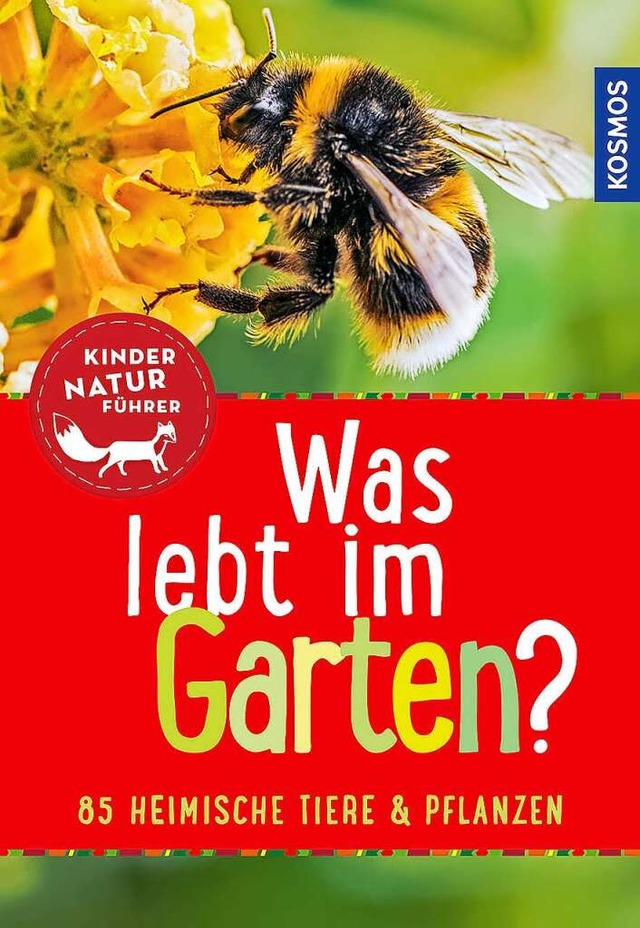 Brbel Oftring: Was lebt im Garten?  | Foto: Kosmos Verlag