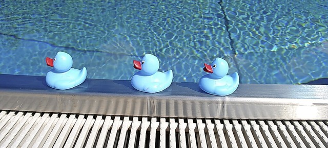 Schwimmen wie Entenfamilien: Sollte da... im Einbahnstraenprinzip schwimmen.    | Foto: Schlichter, Juliane