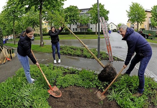 Die Schlerinnen Amlie Grle (links)...Szabados eine Baumhasel in Denzlingen.  | Foto: Markus Zimmermann