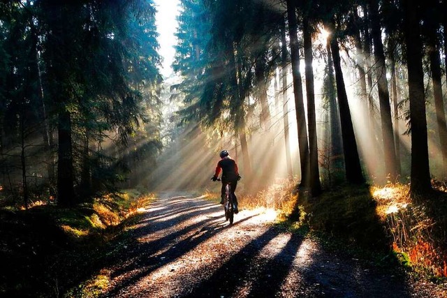 Mountainbiken im Wald kann zum Genuss  werden, aber auch Stress verursachen.  | Foto: Arno Burgi