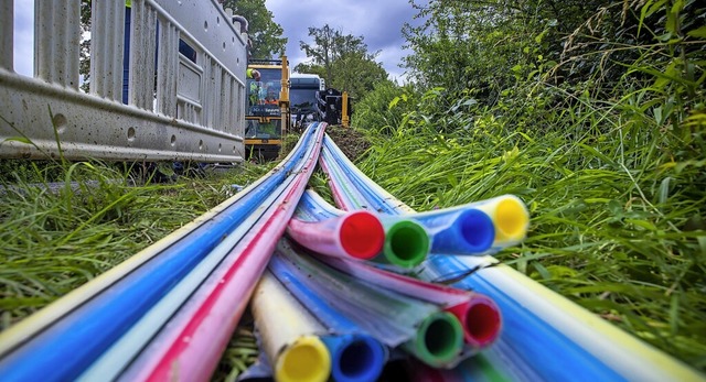   | Foto: Jens Bttner (dpa)