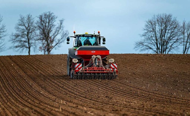 Marcher Landwirte wnschen sich mehr T...tung von Ackerland durch die Gemeinde.  | Foto: Philipp Schulze