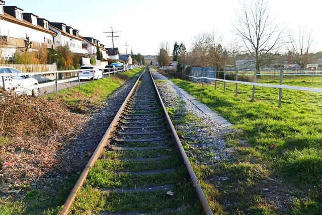 Schienen im Kandertal  | Foto: Victoria Langelott