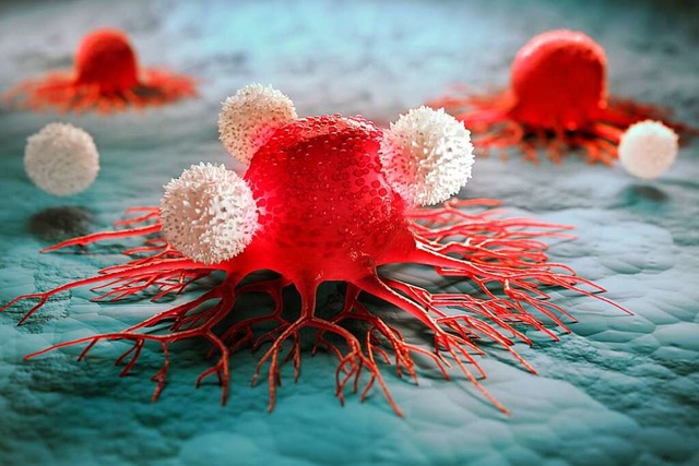 Das Immunsystem &#8211; hier in Form v... wieder &#8222;sichtbar&#8220; werden.  | Foto: peterschreiber.media  (stock.adobe.com)