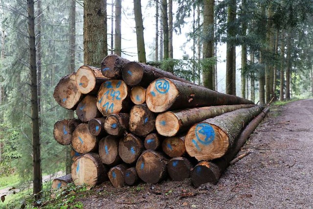 Holzstapel im Schuttertal  | Foto: Christoph Breithaupt