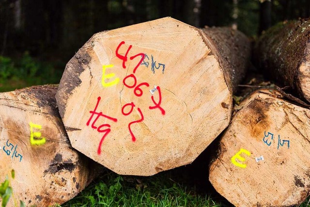 Die Holzpreise sind in die Hhe geschnellt.  | Foto: Carlotta Huber