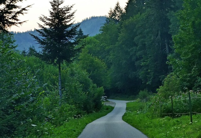 Im Wegelbachtal (Foto) sollen ebenso w...ssert und teils neu trassiert werden.   | Foto: Patrik Mller