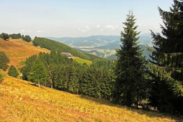 Beim Abstieg vom Hinterwaldkopf zeigt ... Hintergrund mit Flaunser und Kandel.   | Foto: Gerd Lck