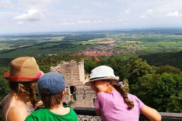 Eine steile Familientour zur Burg Bernstein hoch ber Dambach-La-Ville