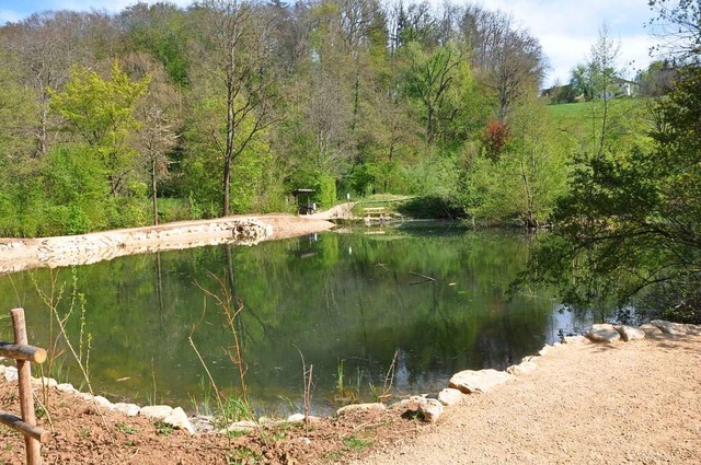 Das Naturreservat Autal in Riehen  | Foto: Daniel Gramespacher