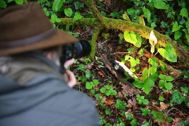 Wie der Emmendinger Fotograf Paul Trenkle die BZ-Leser begeistert