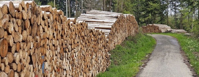 So sieht es in vielen Wldern am Hochr...Holzpreis in schwindelerregende Hhen.  | Foto:  Edinger, Gerald