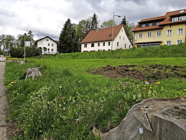 Auf diesem bislang ungenutzten Privatg...chwarzwaldverein Blhflchen anlegen.   | Foto: Juliane Khnemund