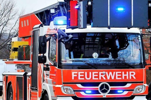 Fehlalarm ruft Feuerwehr zum Wasserkraftwerk in Grenzach-Wyhlen