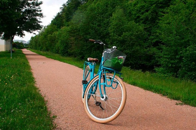 Eine Radtour entlang des Wiesentalradw... Frdergeld beim Bund beantragt haben.  | Foto: Marlies Jung-Knoblich 