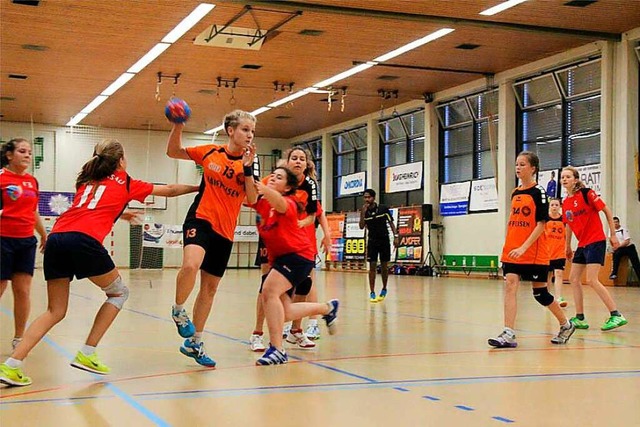 Die Handballer des HC Karsau, die Voll...Sporthallen zur Ausbung ihres Sports.  | Foto: Handballclub Karsau
