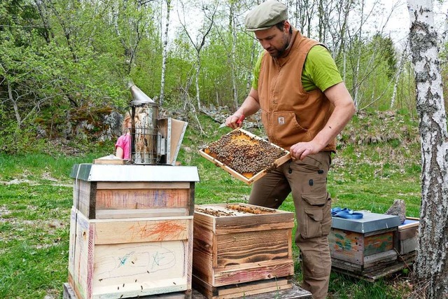Goldenhof-Imker Fabian Dreher inspiziert seine Bienenksten.  | Foto: Susanne Filz