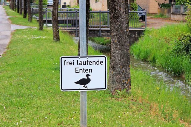 Achtung, Enten! Das Warnschild an Esch...Heiterkeit als fr Sicherheit gesorgt.  | Foto: Jennifer Ruh