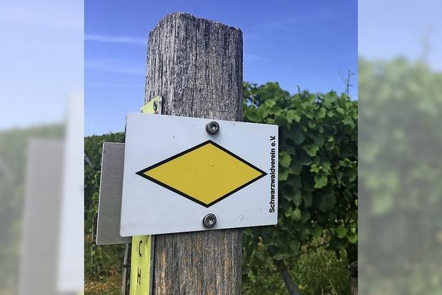 In Etappen durch den Schwarzwald