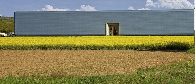 Der gelbe Raps blht schon, bald sprieen auf der Wiese davor auch Blumen.   | Foto: Firma Wagner