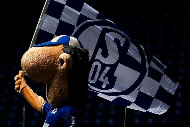 Schalke 04 – oder der Absturz der Königsblauen