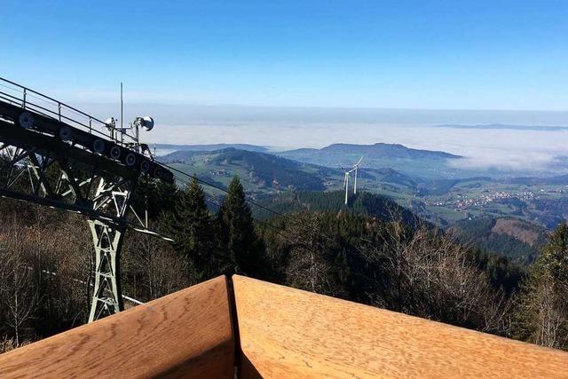 Baumhuser und Aussichtsterrassen locken jetzt auf den Schauinsland