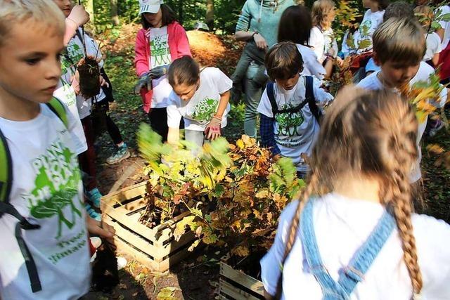 Von der Umwelt lernen - in der Eschbacher Naturpark-Schule