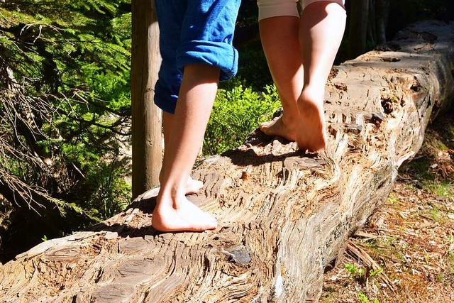 In der Natur spielen, von der Natur le... auch Kinder in Vrstetten tun knnen.  | Foto: Marek Brandt (Stock.adobe.com)