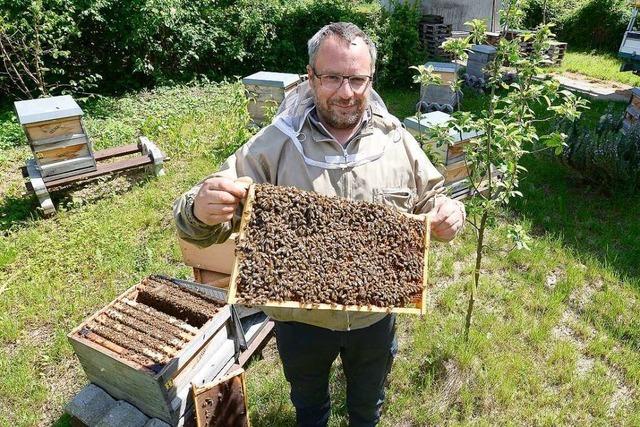 Roland Klbles Bienen sammeln 14 Honigsorten zusammen