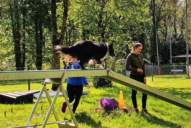 Knftig trainieren die Hundesportler aus Freiburg in Gundelfingen.  | Foto: Babett Hfflin