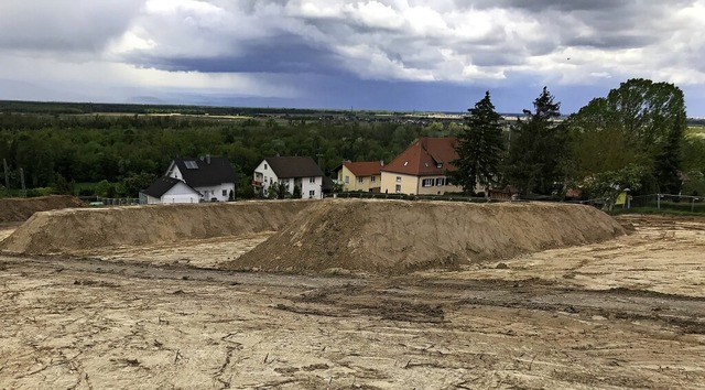 Wo in Rheinweiler bisher Reben standen...und sechs Reihenhuser gebaut werden.   | Foto: Jutta Schtz