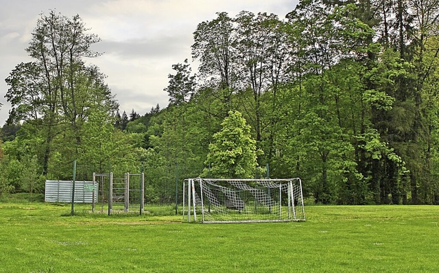 Hier soll der neue Kleinspielplatz des FC Kandern entstehen.  | Foto: Rolf Rhein