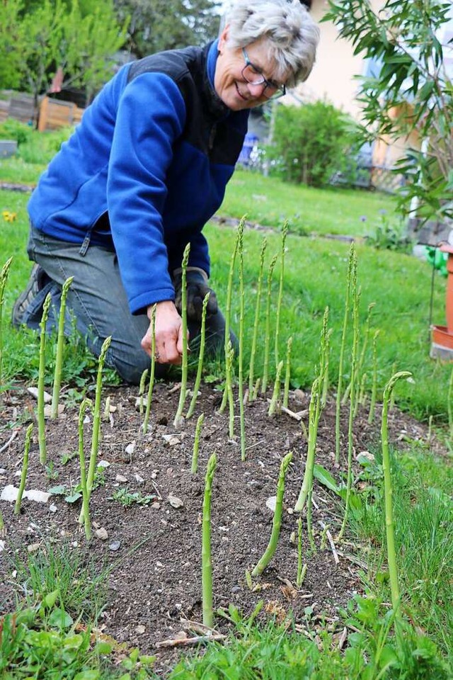 Ihren eigenen Spargel erntet Ursula Ne... 50 Jahren Spargel in Bonndorf geben.   | Foto: Martha Weishaar