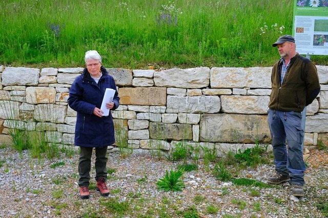 Sigrid Meineke, Ortsvorsitzendes des B...mit Thomas Mayer vor der Trockenmauer.  | Foto: Martin Pfefferle