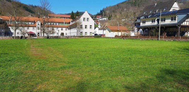 Die Badwiese in Ettenheimmnster soll bebaut werden.  | Foto: Christian Kramberg