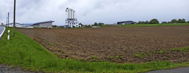 Alle Flchen im Gewerbegebiet Breitenf... Richtung Mnchingen erweitert werden.  | Foto: Juliane Khnemund