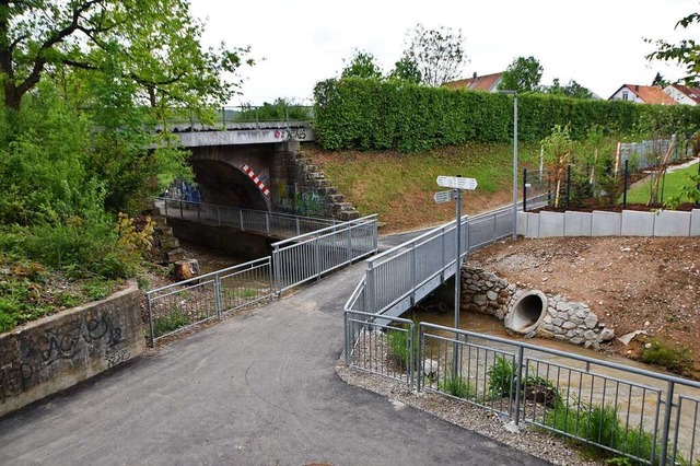 Im Zuge der Kanalsanierung in der Eise...terfhrung eine neue Brcke errichtet.  | Foto: Horatio Gollin