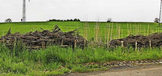 Reisig-Wlle wurden oberhalb des Ortes angelegt.  | Foto: Rolf Rhein