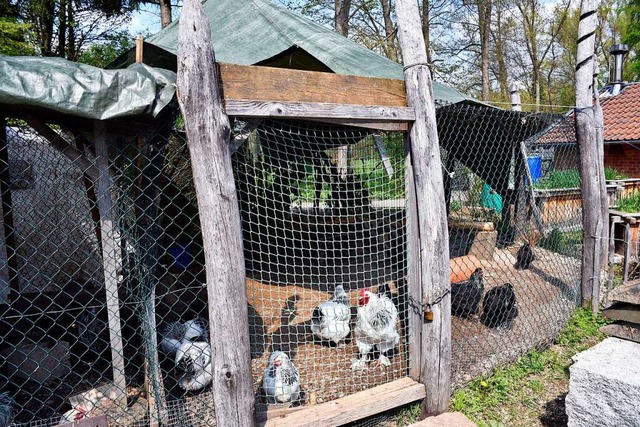 Ab Pfingstmontag wird der Zugang zum Mundenhof erleichtert. Symbolbild.  | Foto: Thomas Kunz