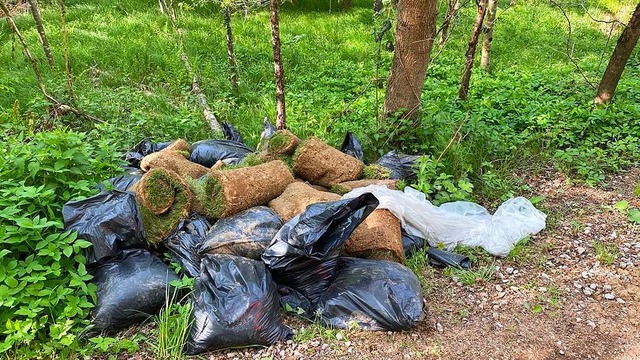 Anhngerweise hat  ein Unbekannter Sc...llrasen im Nollinger Wald  abgelagert.  | Foto: Thomas Hirner