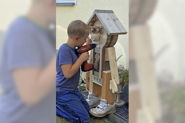 Kinder bauen Insektenhotels