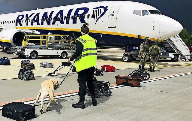 Eine Sicherheitskraft inspiziert in Mi...nd das Gepck eines Ryanair-Flugzeugs.  | Foto: Uncredited (dpa)