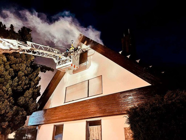 Die Feuerwehr musste am Abend des Pfingstmontag in Hartheim-Feldkirch ausrcken.  | Foto: Feuerwehr Bad Krozingen