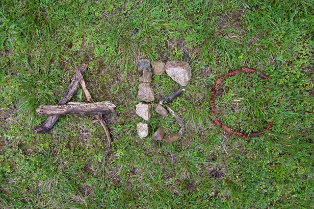 Der Verein Natur-Wald-Schule will das...n im schulischen Bereich fortführen. | Foto: Julian Jaeger Der Verein Natur-Wald-Schule will das...n im schulischen Bereich fortführen. | Foto: Julian Jaeger