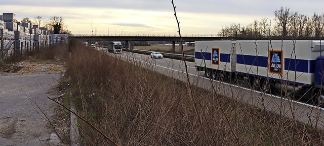 Bevor zwischen der A5 und dem Hartheim...mssen  Reptilien  umgesiedelt werden.  | Foto: Susanne Mller