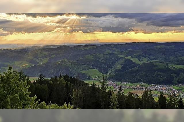 Abendstimmung im Mai