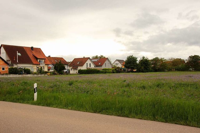 Am jetzigen Ortsrand von Merdingen, ne...e, soll ein neues Baugebiet entstehen.  | Foto: Mario Schneberg